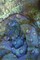 Abalone shell with water drops by Nancy Rotenberg - Item # VARPDXNA01BJA0030